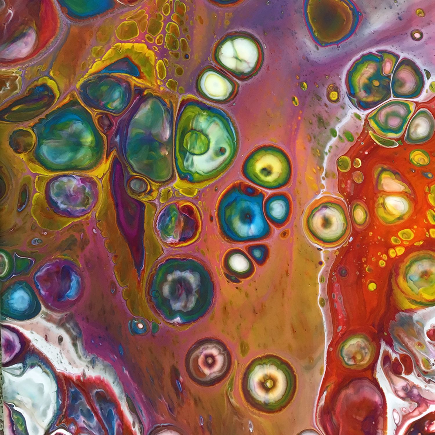 Bild von Frauke Delatron
