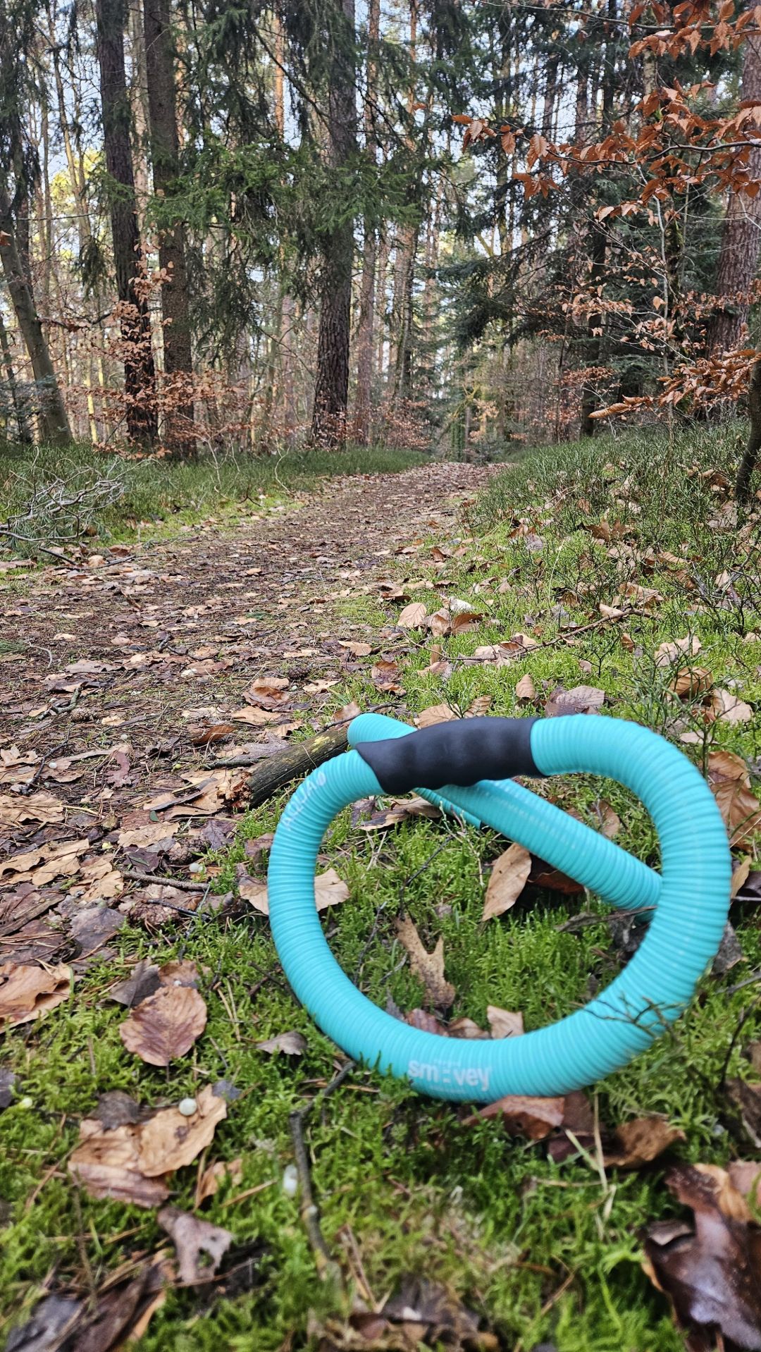Foto von S. Falk